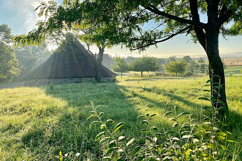 Eine historische Kelter auf einer grünen Wiese im Sonnenschein, im Vordergrund ein Baum