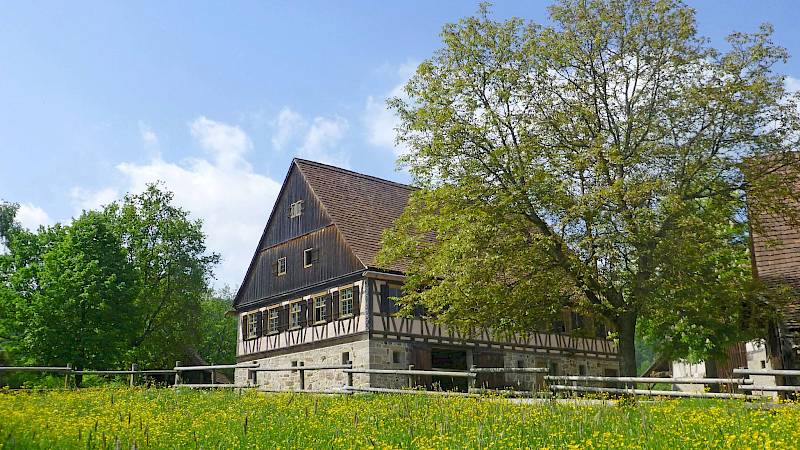 Fachwerkhaus zwischen zwei großen Bäumen, davor eine eingezäunte Wiese